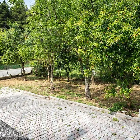 A28 - Poggio, Ampio Trilocale Con Portico Poggio (Marche)
